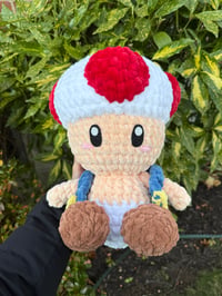 Image 1 of MUSHROOM MAN