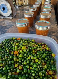 Image 1 of Spicy Tepin