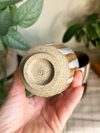 Image 5 of Angled Striped Cups