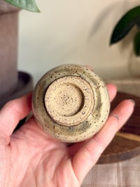 Image 5 of Birch Teacup