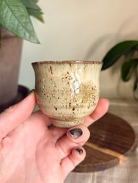 Image 3 of Birch Teacup