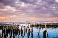 Image 1 of Restful Sail | Portland Harbor, Portland Maine