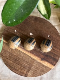 Image 3 of Potato Beetles