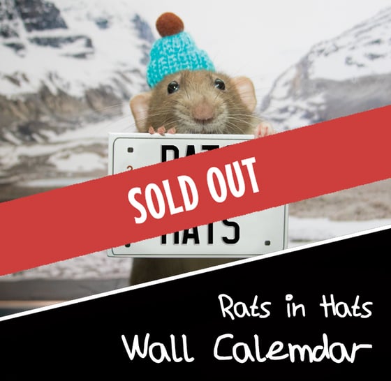 Image of 2026 Rats in Hats Wall Calemdar 