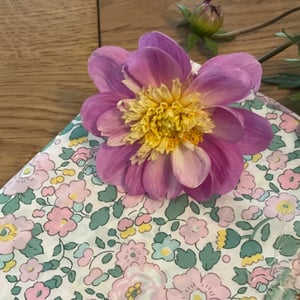 Image of Betsy Oh ! so mignon ( 2025 FW special )