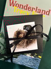 Image 3 of Reliquary (with pigeon wishbone and cat claw)