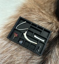 Image 1 of Reliquary (with pigeon wishbone, manuka flower and rabbit metatarsal)