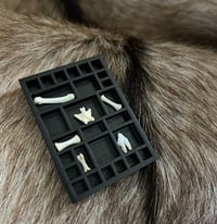 Image 1 of Reliquary (with cat tooth, cat tail vertebrae and cat metatarsal)