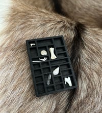 Image 1 of Reliquary (with cat tooth, rat ribs and clear quartz)