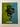 Betrothed To The Serpent 07 Gell Print