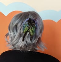 Image 3 of Eastern Rosella wing clip (muted colouring)