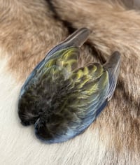 Image 2 of Eastern Rosella wing clip (muted colouring)