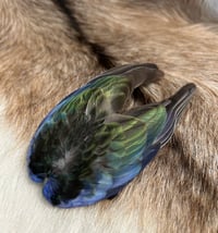 Image 2 of Eastern Rosella wing clip (long)