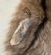 Image 1 of Rabbit Foot Keyring (medium wild)