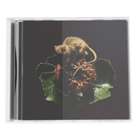 glasscastle ‘told from impossible distance’ CD [preorder]