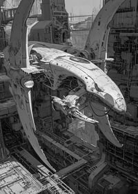 MONOGURUI umbra-uniform: (MAITR)