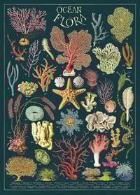 Ocean Flora