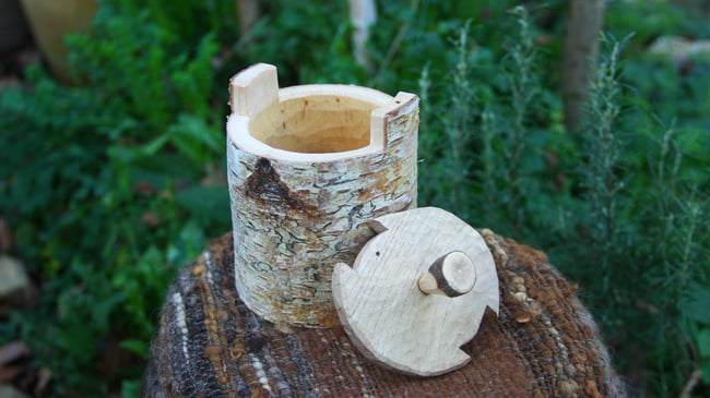 Birch Shrink Pot #1