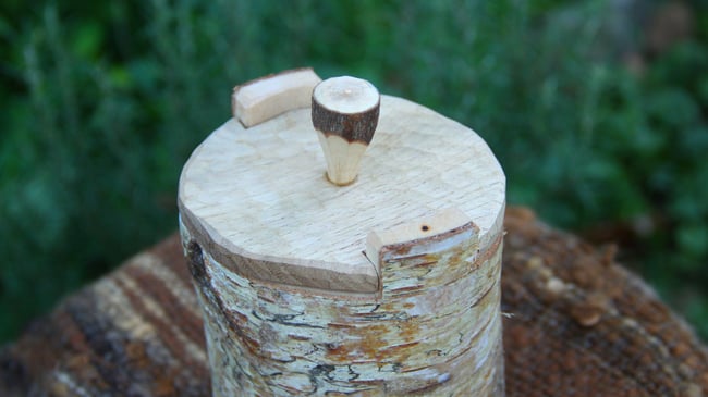 Birch Shrink Pot #1