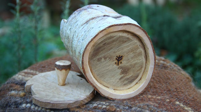 Birch Shrink Pot #1