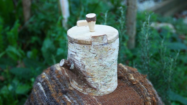 Birch Shrink Pot #1