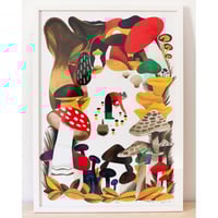 Image 1 of Svampskogen