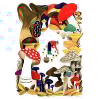 Image 2 of Svampskogen