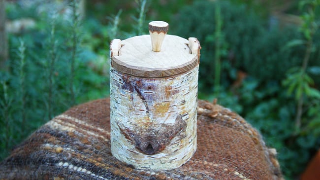 Birch Shrink Pot #2