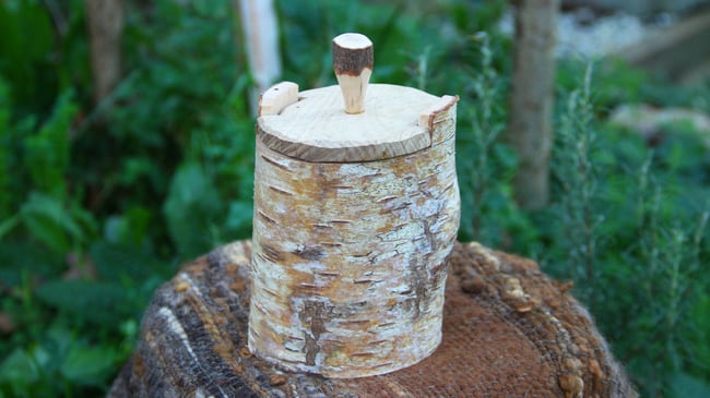 Birch Shrink Pot #2