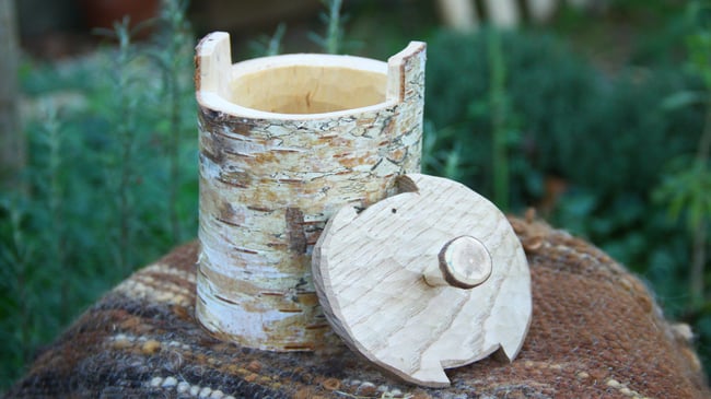 Birch Shrink Pot #3