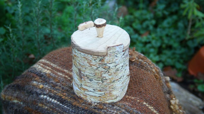 Birch Shrink Pot #3