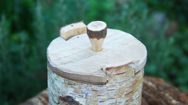 Birch Shrink Pot #4