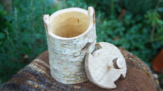 Birch Shrink Pot #4