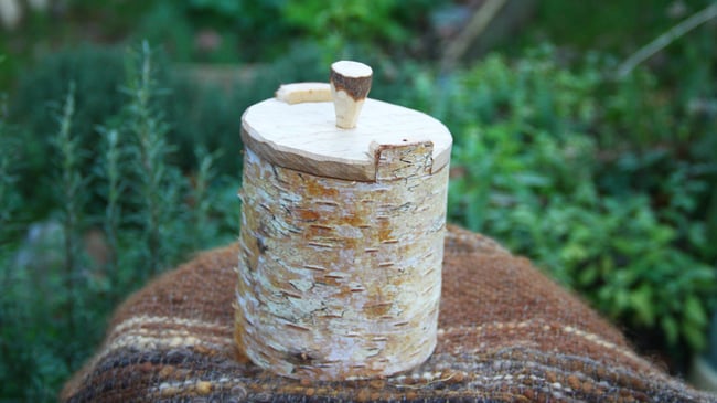 Birch Shrink Pot #4