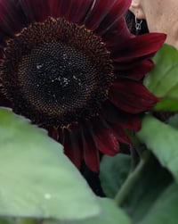 Image 2 of Kettlebell Sleepers 