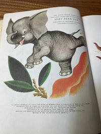 Image 3 of Vintage The Saggy Baggy Elephant (1st ed.)