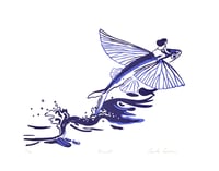 Image 1 of Exocet deux couleurs