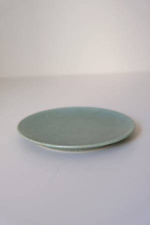 Image of Petite assiette Eucalyptus