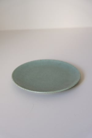 Image of Petite assiette Eucalyptus