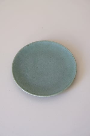 Image of Petite assiette Eucalyptus