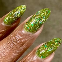 Image 12 of Name This Polish