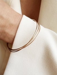 Image 1 of Joncs ALLIANCE