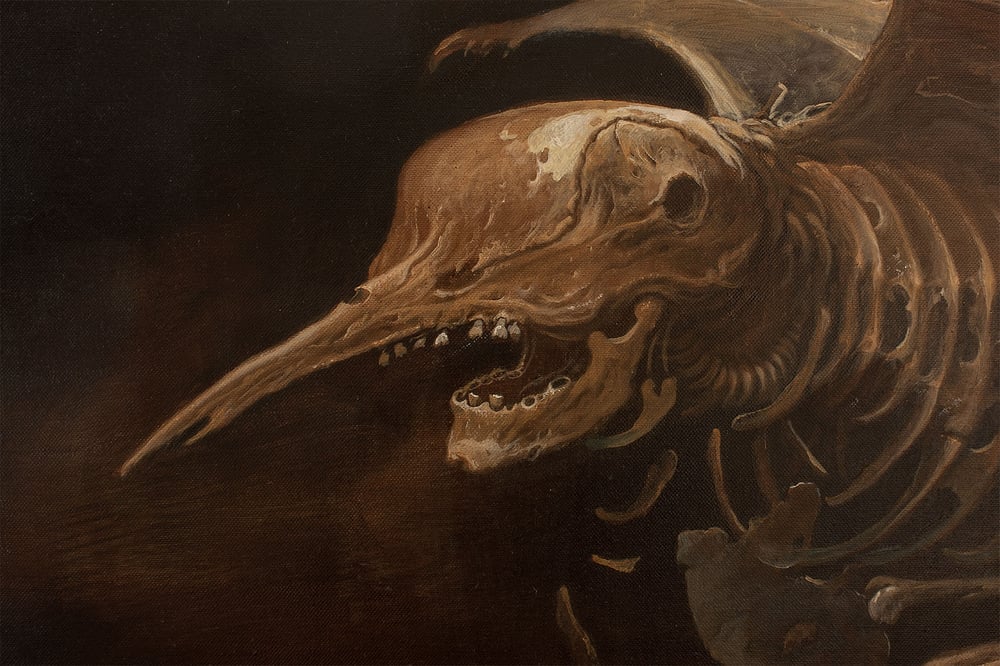 The Bird of Good Hope