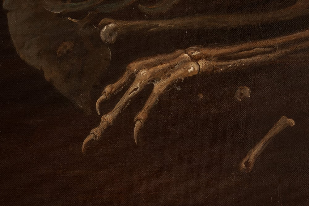 The Bird of Good Hope