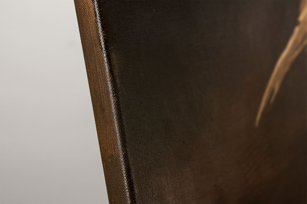 The Bird of Good Hope