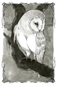 ORIGINAL - La fille du roi des Efles 