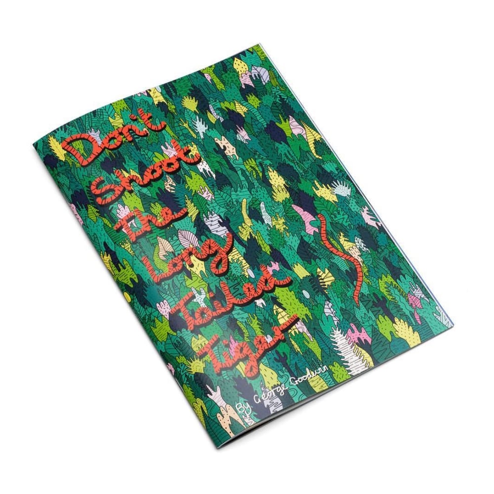 Image of Don't Shoot The Long Tailed Tiger book