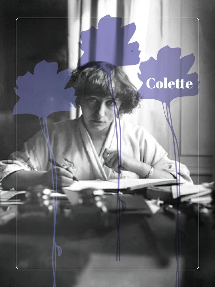 Image of COLETTE Rozven