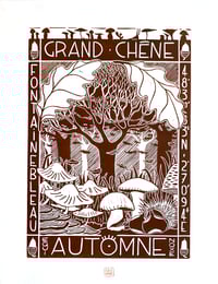 Image 1 of GRAND CHENE AUTOMNE
