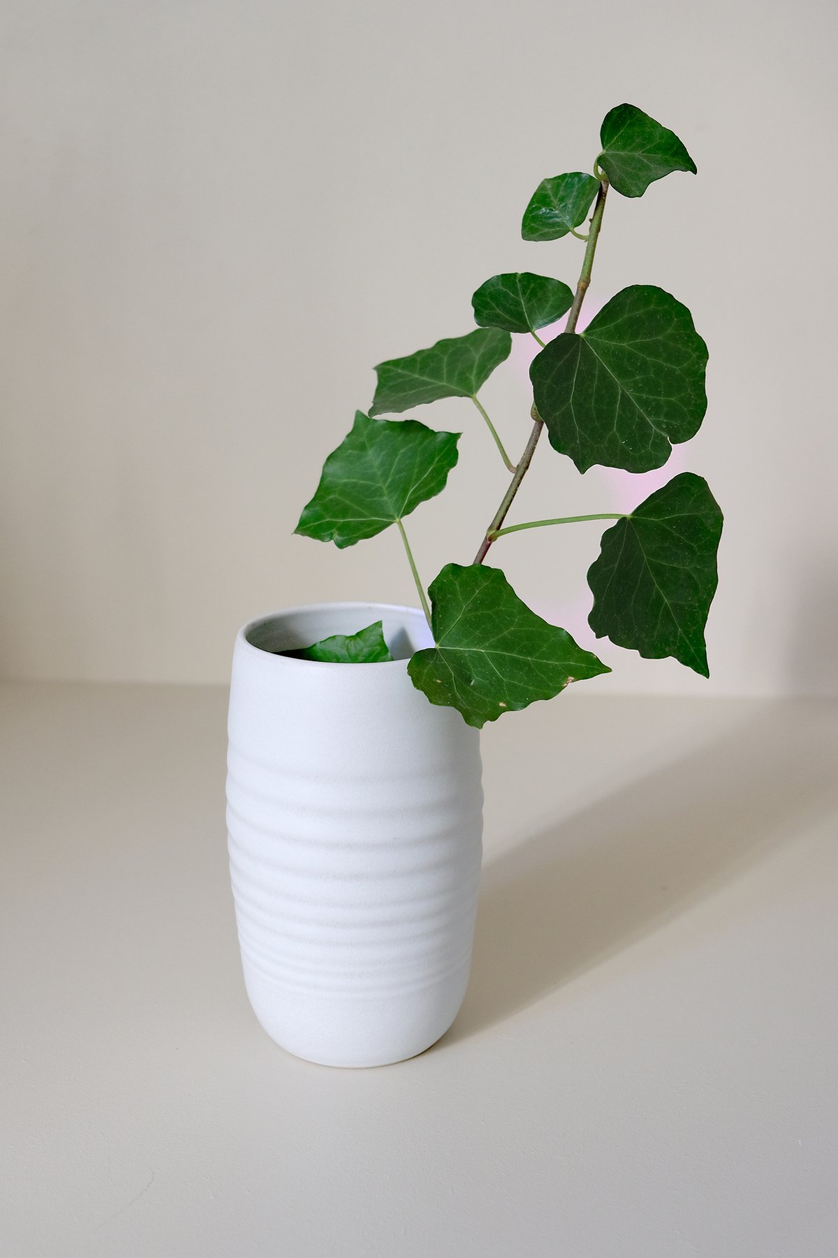 Image of Vase blanc